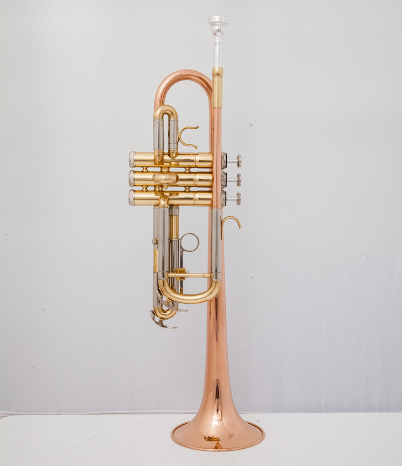 Instrumentos musicais profissi - Musical Instrument Bugle avaliação e preço