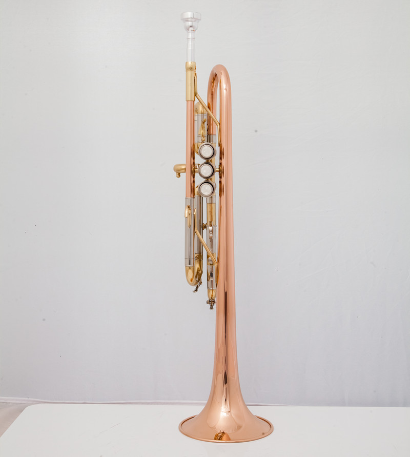 Instrumentos musicais profissi - Musical Instrument Bugle avaliação e preço